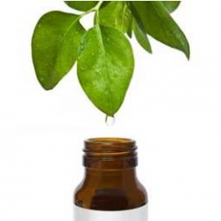 Comanda online tea tree oil